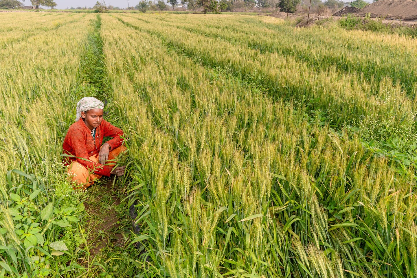 PM Kisan Beneficiary Status Check Online 2026