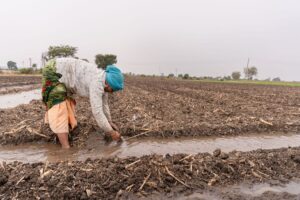 PM Kisan Beneficiary Status Check Online 2026
