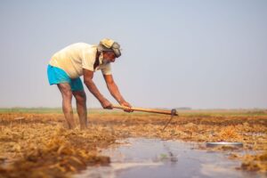 PM Kisan Beneficiary Status Check Online 2026