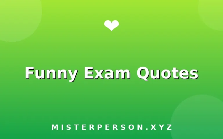 Funny Exam Quotes